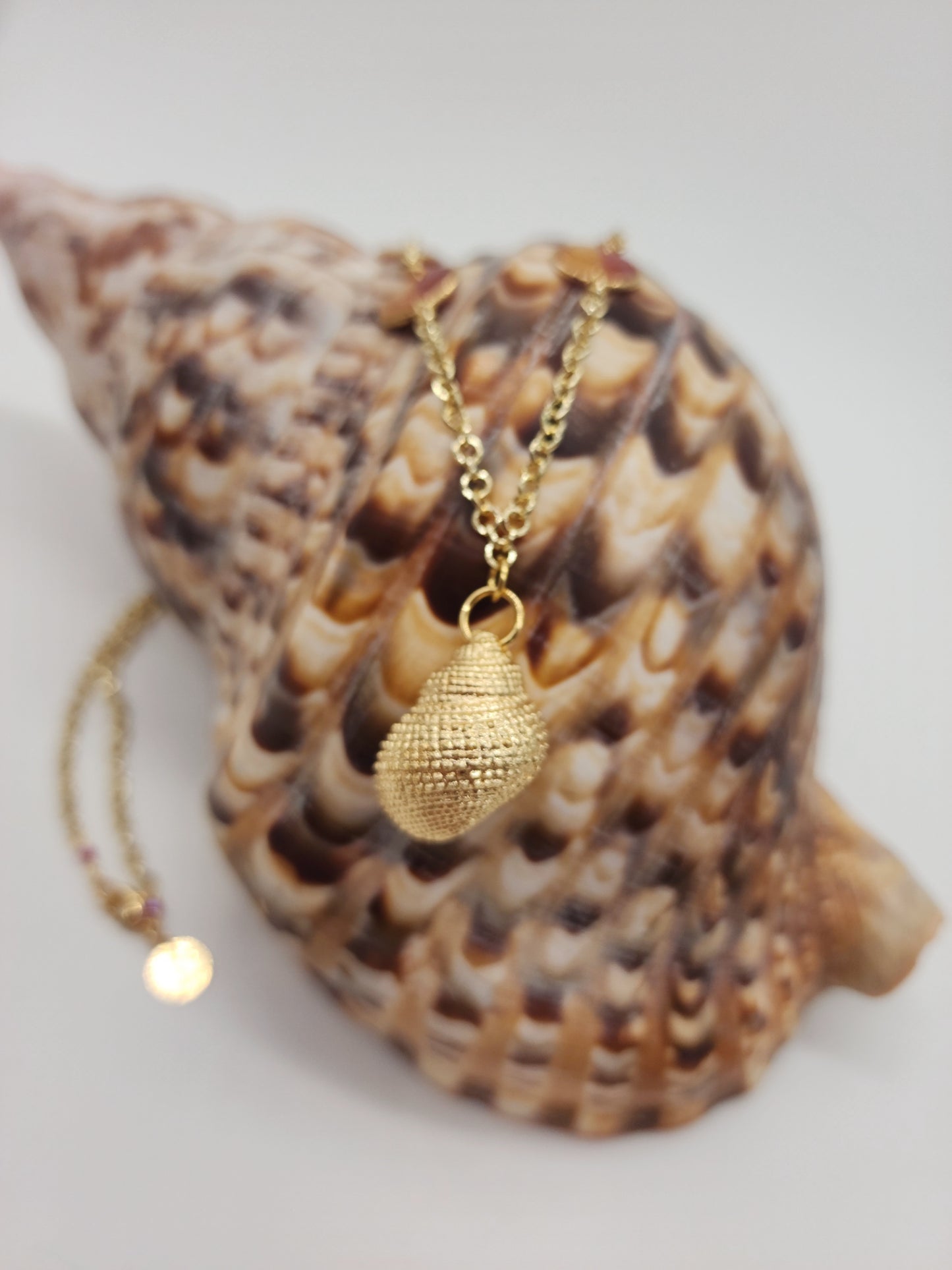 ☀️🐚Collar Amanecer Dorado🐚☀️