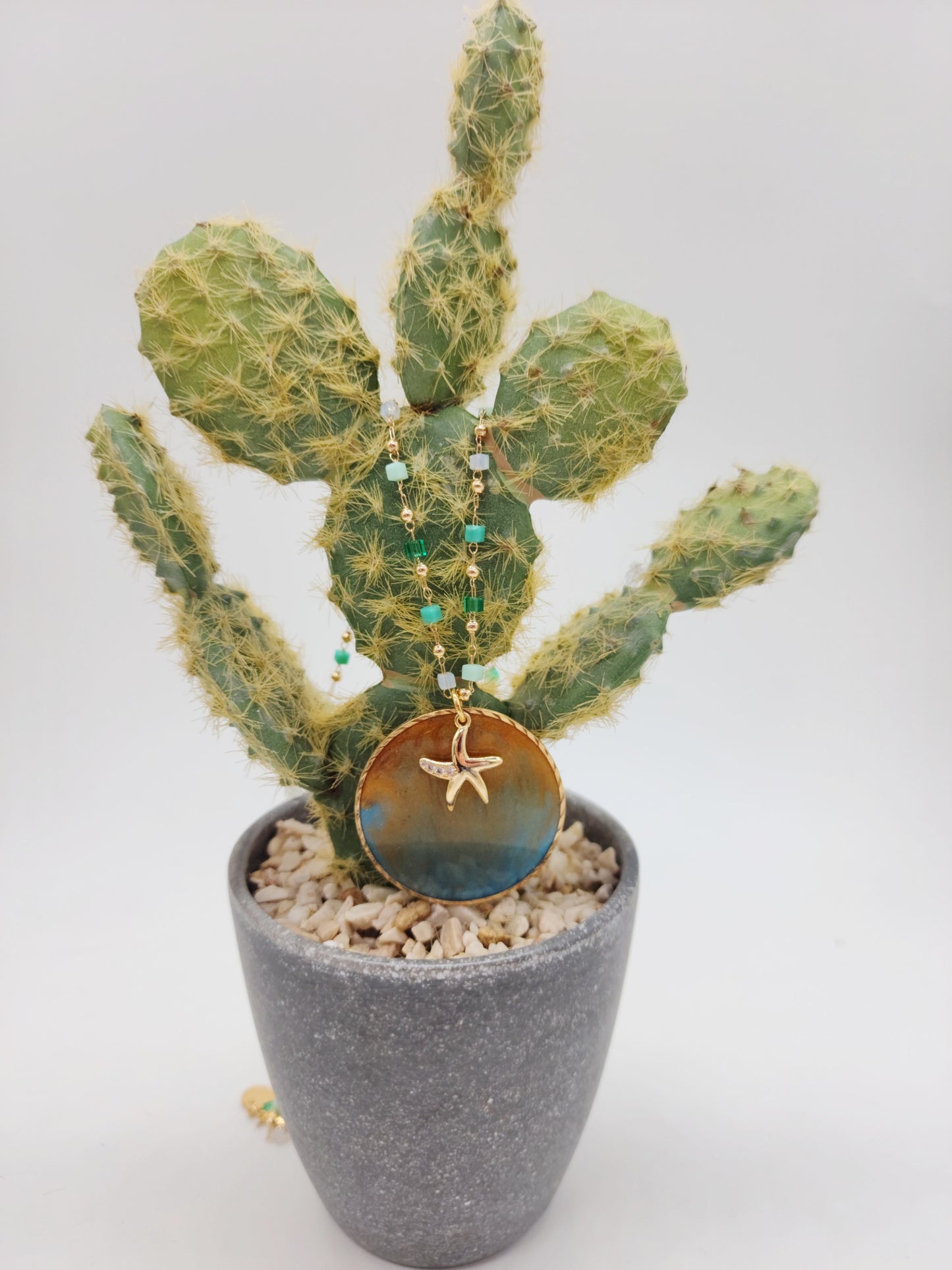Estrella Encantada