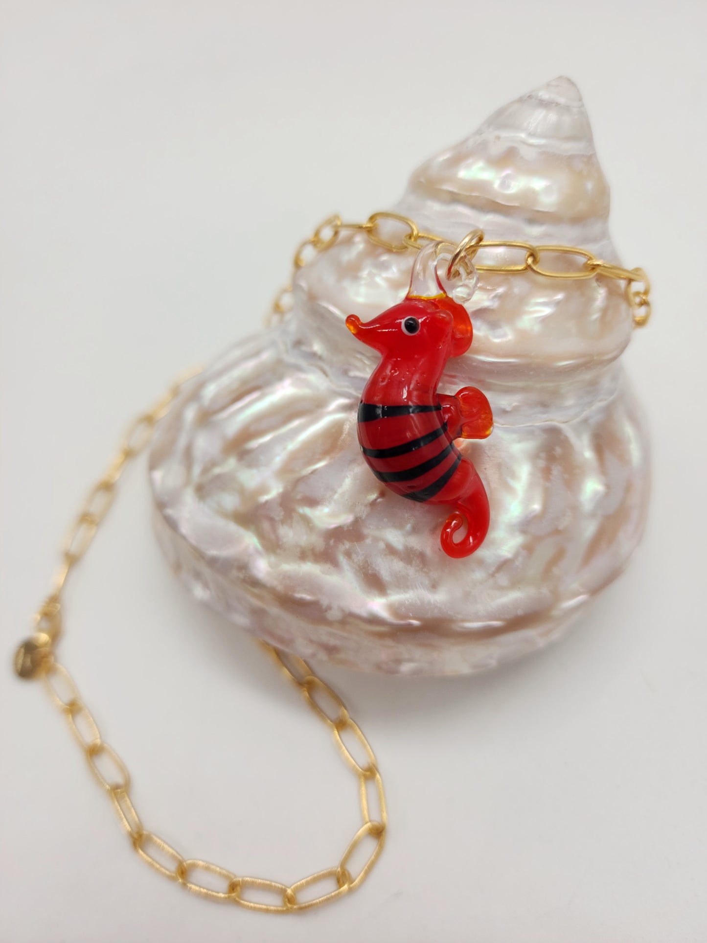 🔥Caballito Fuego Marino🌊