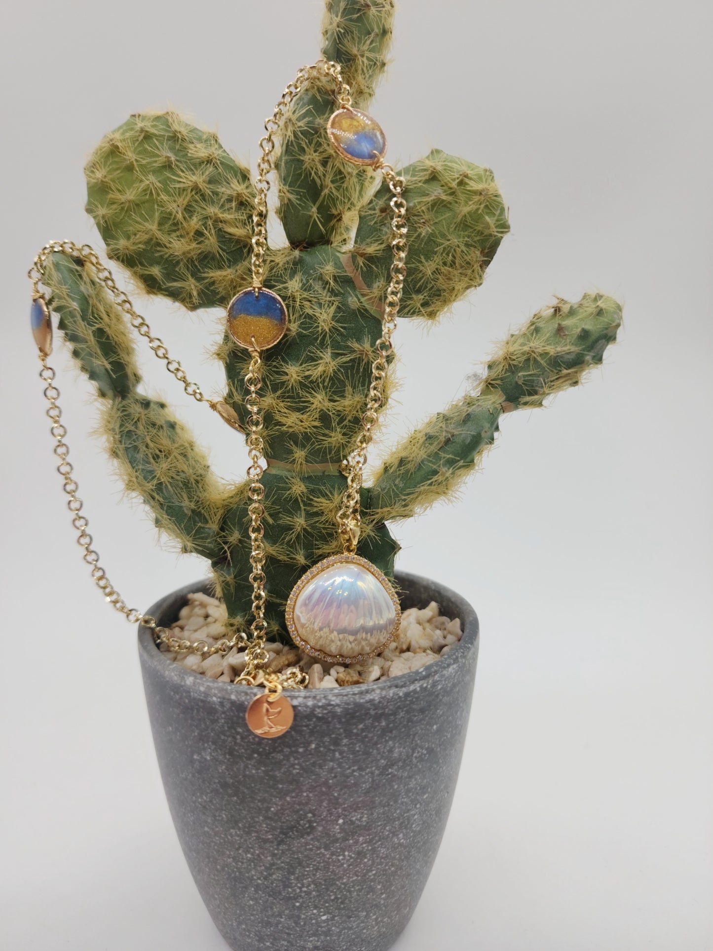 🐚Collar Concha Tallada🐚🐠
