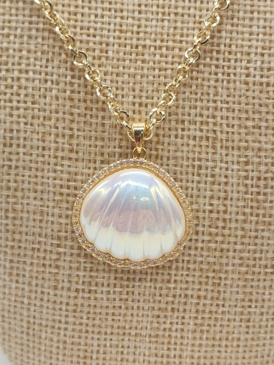 🐚Collar Concha Tallada🐚🐠